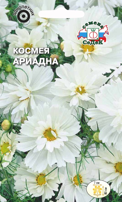 Семена цветов - Космея Ариадна 0,04 г - 2 пакета