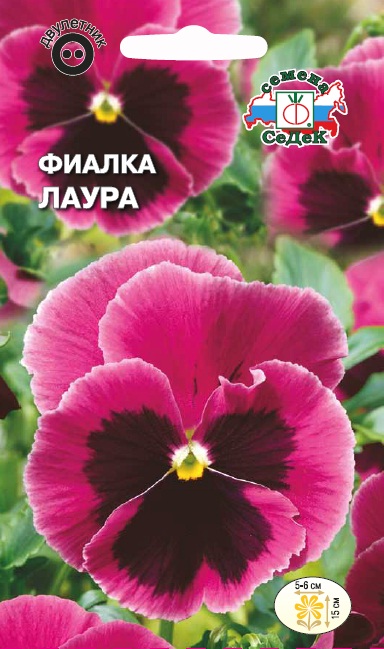 Семена цветов - Фиалка Лаура 0,05 г - 2 пакета