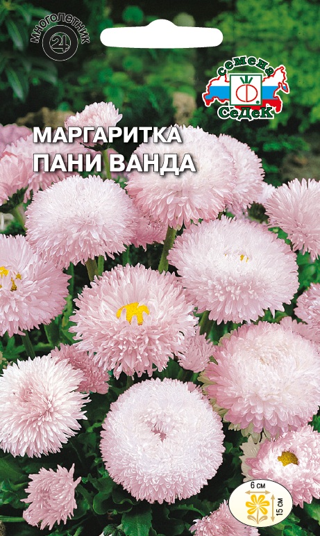 Семена цветов - Маргаритка Пани Ванда 0,05 г - 2 пакета