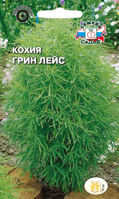 Семена цветов - Кохия Грин Лейс 0,3 г - 2 пакета