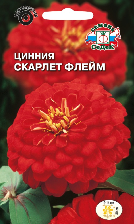 Семена цветов - Цинния Скарлет Флейм 0,5 г - 2 пакета