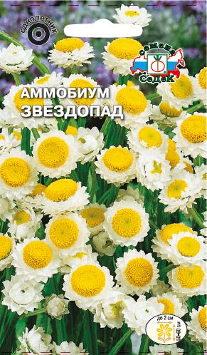 Семена цветов - Аммобиум Звездопад 0,2 г - 2 пакета