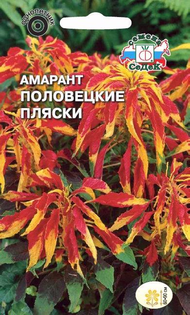 Семена цветов - Амарант Половецкие Пляски 0,1 г - 2 пакета