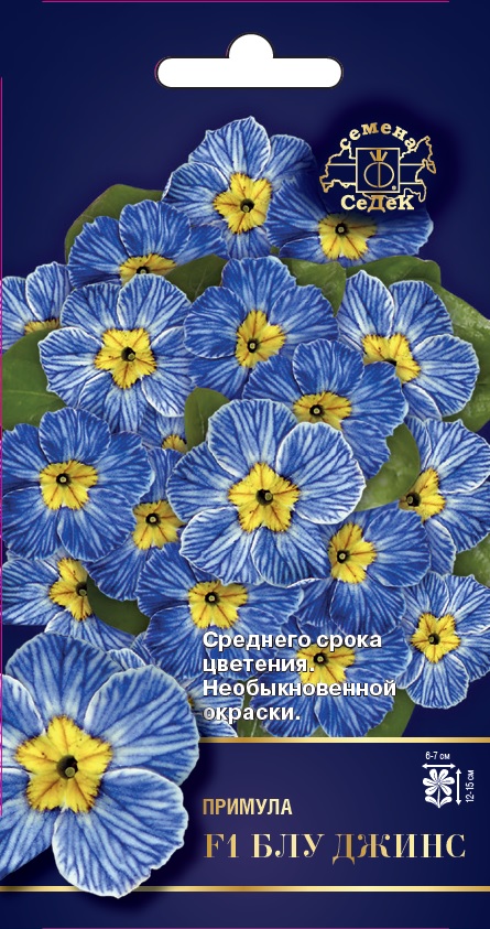 Семена цветов - Примула Блу Джинс F1 5 шт - 2 пакета