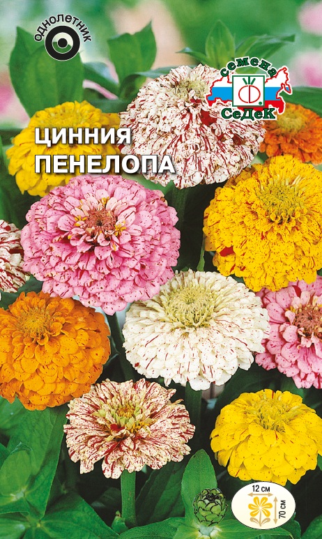 Семена цветов - Цинния Пенелопа 0,2 г - 2 пакета