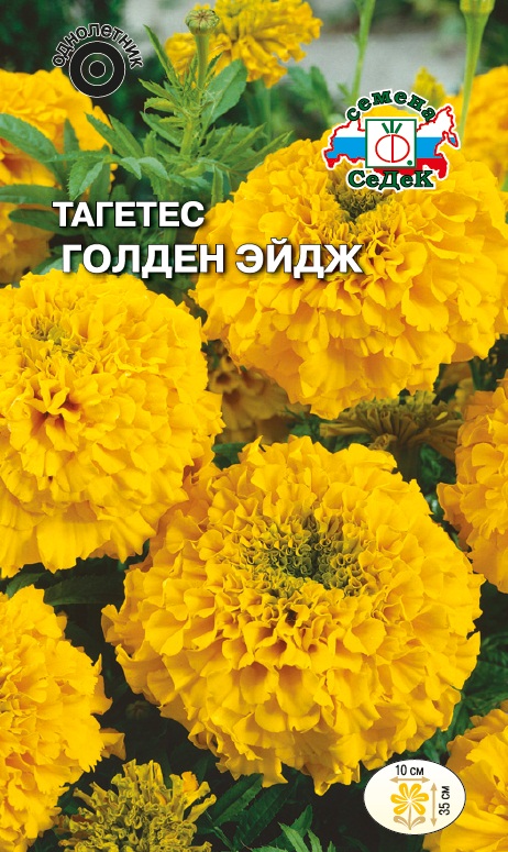 Семена цветов - Тагетес Голден Эйдж 0,2 г - 2 пакета